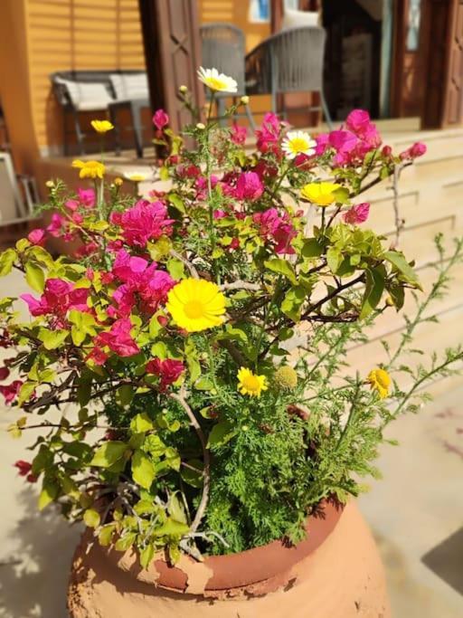 Apartment In Stella Makadi On Ground Floor Hurghada
